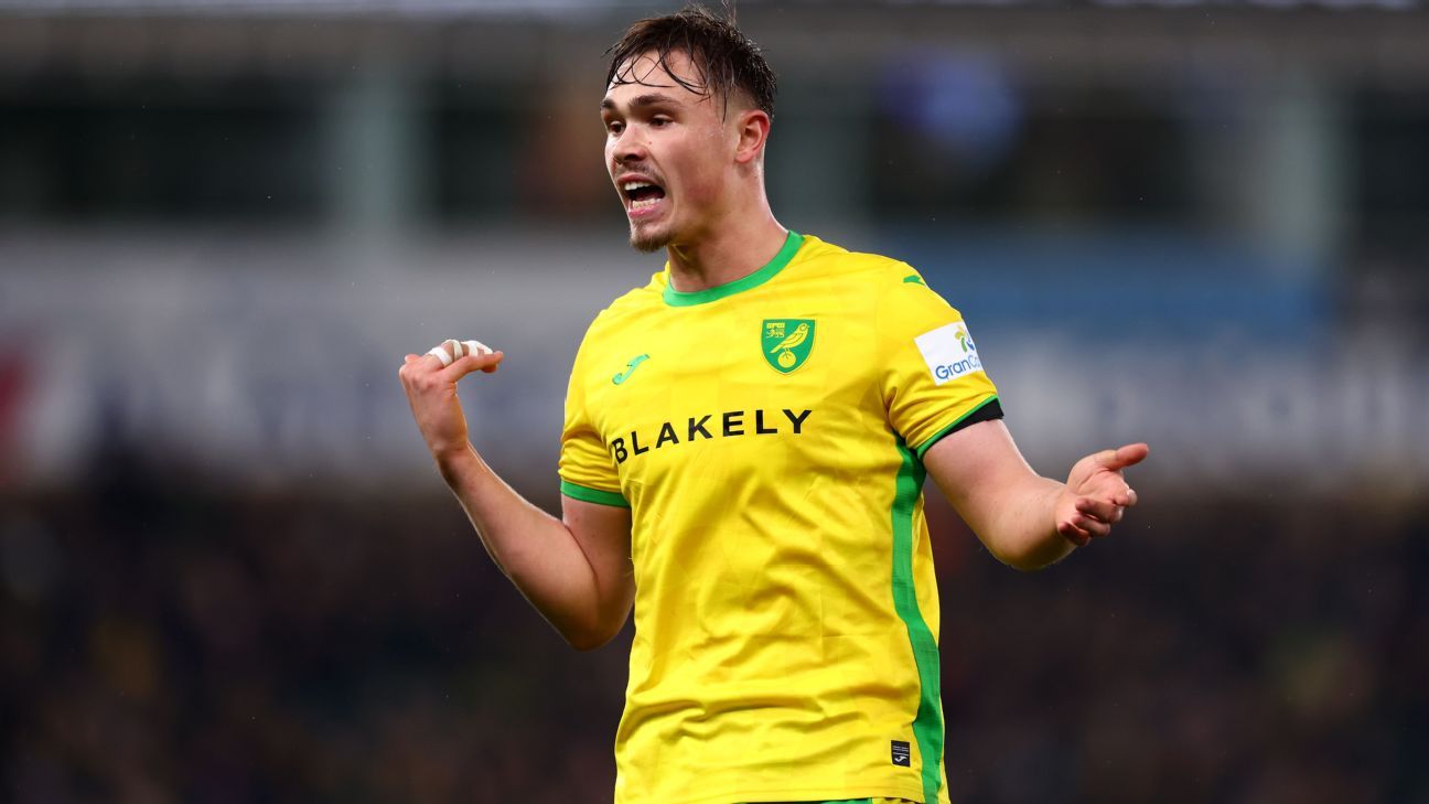 图片来自周山宇