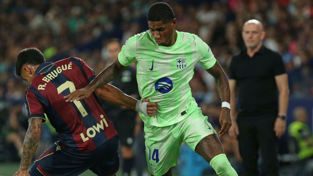 图片来自周山雨