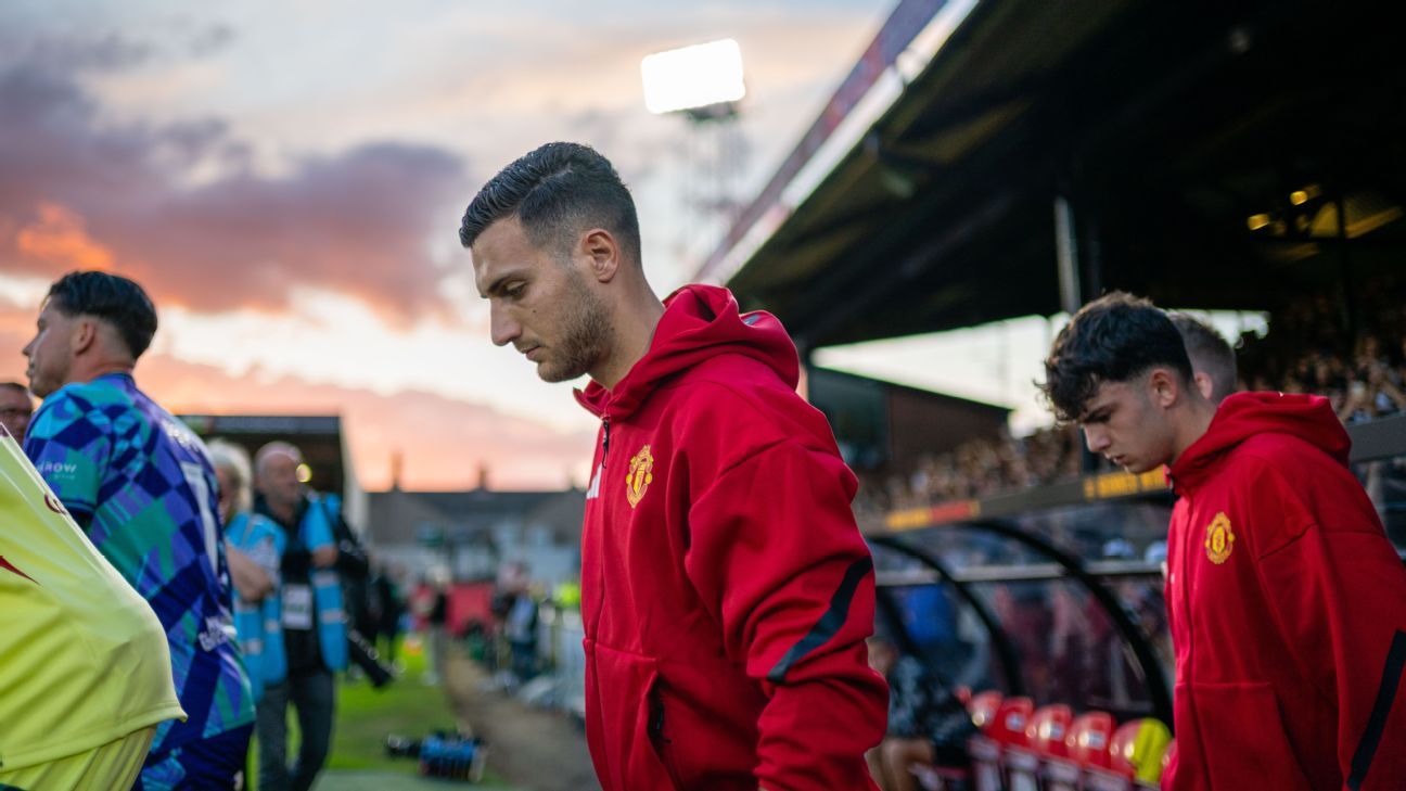 图片来自周山宇