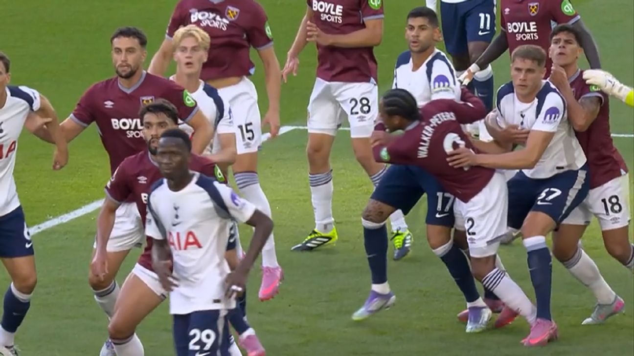 图片:VAR与范德文案例