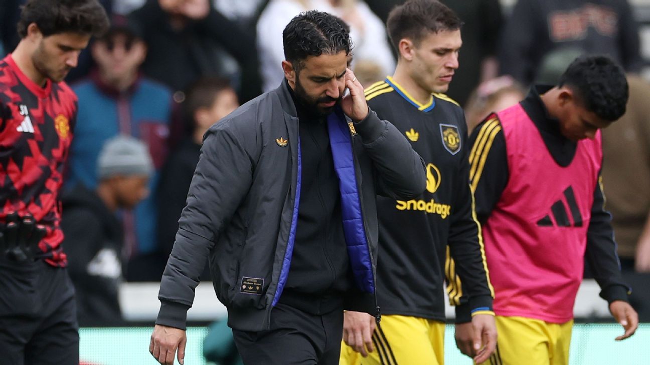 图片来自周山宇