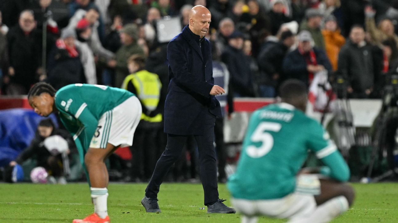 图片来自zhoushanyu.com