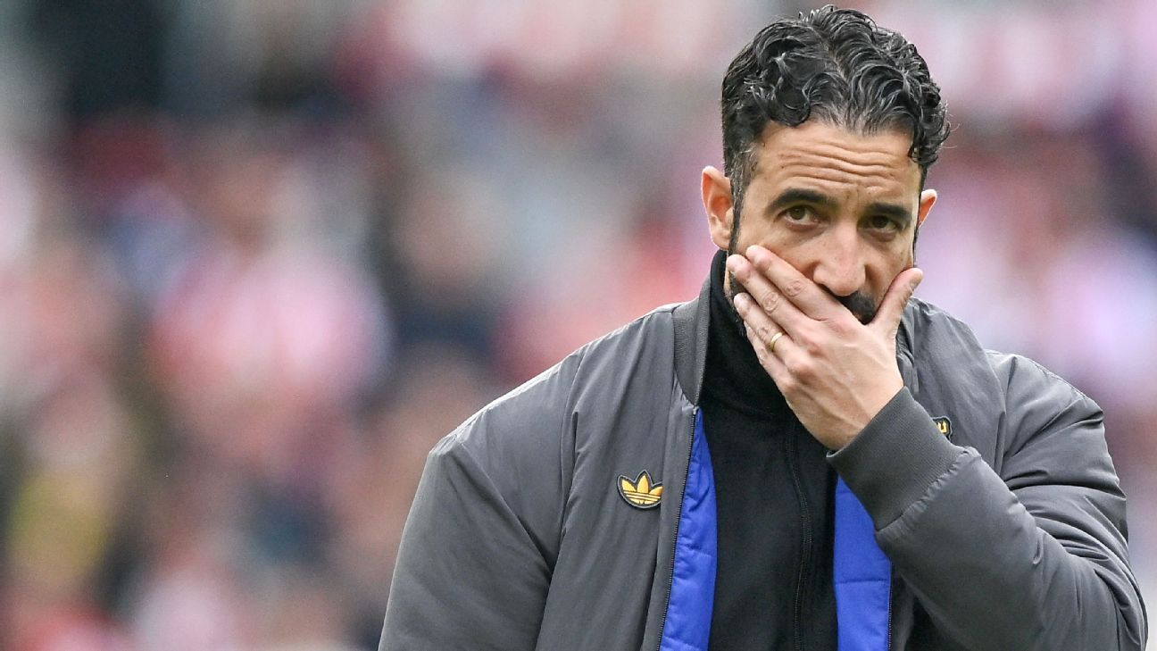 图片来自周山宇