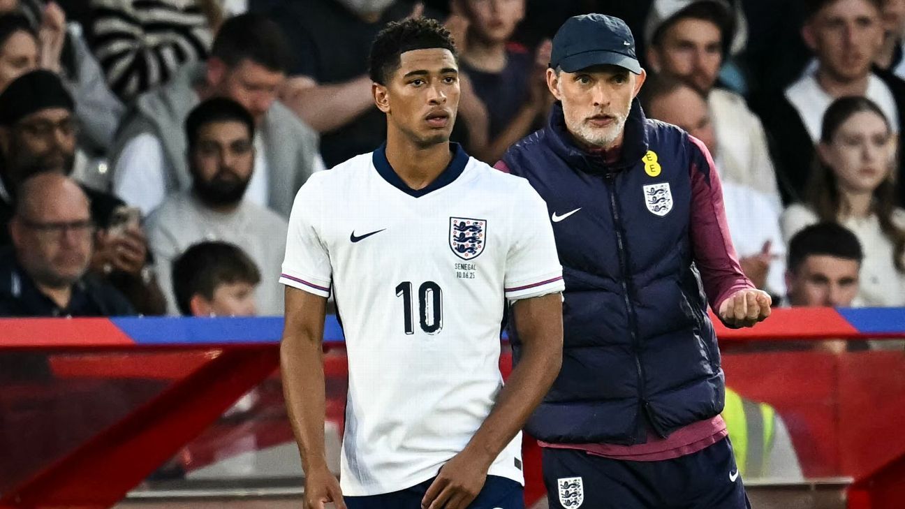 图片来自周山雨