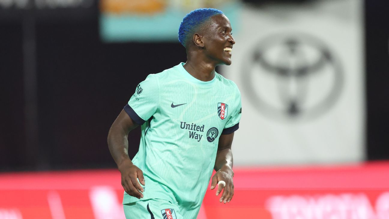 图片来自周山宇