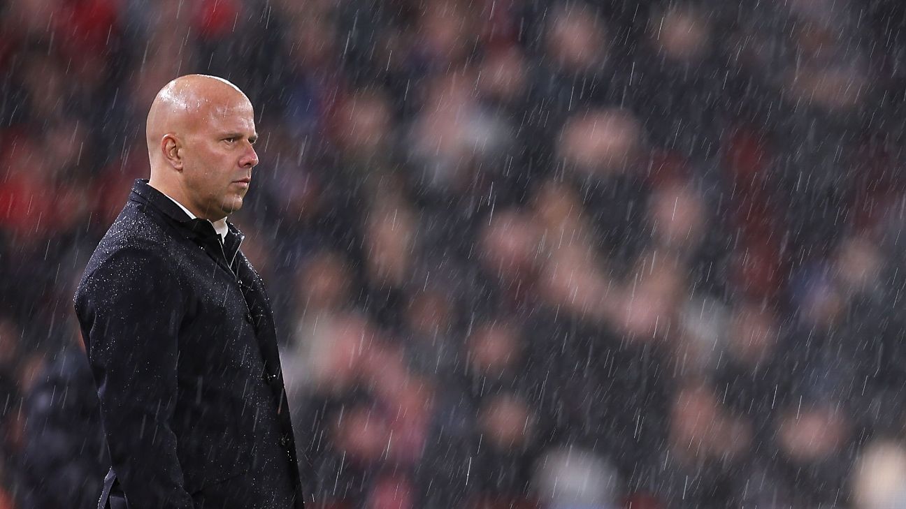 图片来自周山宇